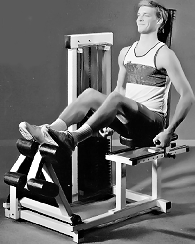 Leg Press Leg Press