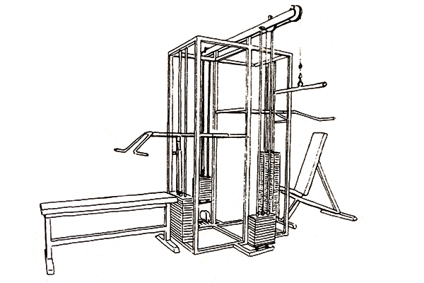 Junglepress Junglepress