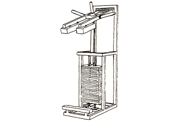 Standing Calf Standing Calf